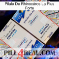 Pilule De Rhinocéros La Plus Forte kamagra1